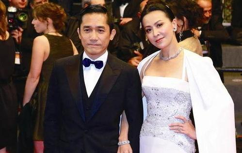 娱乐圈成龙吃瓜事件,揭秘吃瓜背后的真相与影响