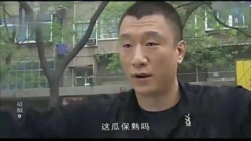 饭后娱乐吃瓜群众,揭秘吃瓜群众的狂欢世界