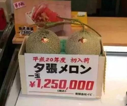 饭后娱乐吃瓜群众,揭秘吃瓜群众的狂欢世界