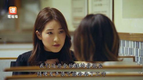 吃瓜娱乐圈系列小说,娱乐圈幕后风云录