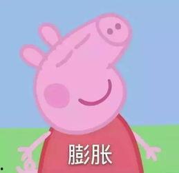 小猪娱乐吃瓜直播间视频,揭秘娱乐圈幕后故事