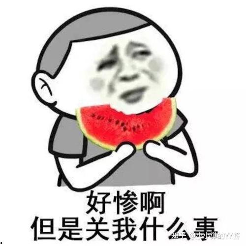 小龙娱乐辩论吃瓜,吃瓜群众如何成为舆论风向标