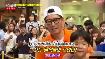 娱乐吃瓜全集播放,揭秘娱乐圈幕后真相，带你领略明星们的真实生活